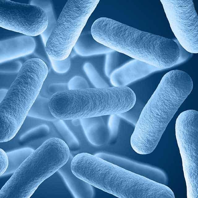 The Human Microbiome: Why You Are More Bacteria Than Human